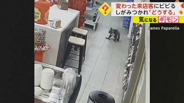 店内を歩き回り…