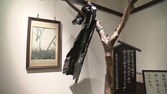 猛火と風で飛ばされ木に巻き付いたトタン