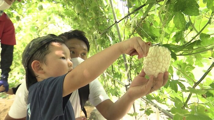 収穫体験で親子思い出作り ウィズコロナの夏休みで反響