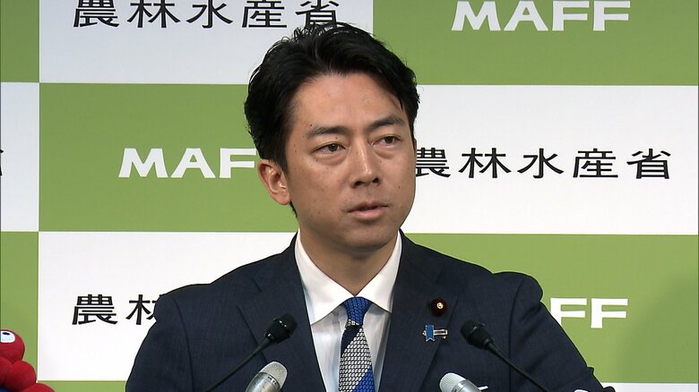【物議】「米の流通は複雑怪奇」小泉農水相が“爆弾発言”…米卸の営業利益暴露に元JA幹部「中間マージン高くとることない」｜FNNプライムオンライン