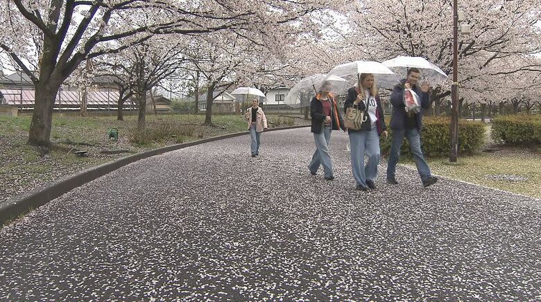 “春の嵐”　満開の桜に「花散らしの雨」　週末は？「すっきり晴れてお花見日和」「かなり気温が上昇」「暑さ対策を」　長野県｜FNNプライムオンライン