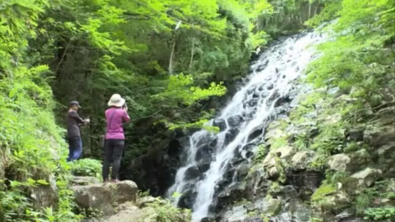 心地よい滝の音に青々とした葉、そして水しぶき…津山市を代表する避暑地「布滝」に涼を求める【岡山】｜FNNプライムオンライン