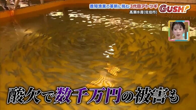 数千万円の損失にもつながる陸上養殖の「酸素」問題、元銀行員のアトツギが解決に挑む【アトツギ】｜FNNプライムオンライン