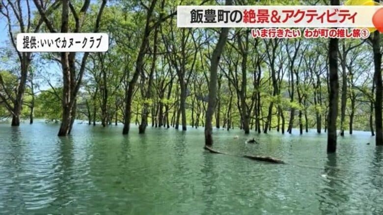 いま行きたい推し旅・飯豊町の絶景「水没林」でカヌー＆どぶろく特区で味わう山菜たっぷりのどぶろくラーメン【山形発】｜FNNプライムオンライン
