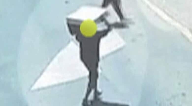 巨匠「マティス」の版画など13点盗んだ2人組 絵画を頭の上に乗せて逃走…ゴミ山近くに絵画を一度放置してから盗み出す姿も ブラジル|FNNプライムオンライン