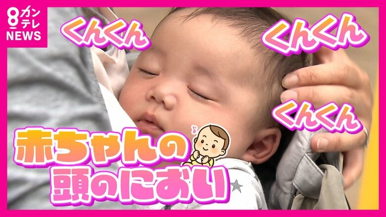 『赤ちゃんの頭のにおい』ハンドクリーム発売　“甘くて忘れられない”あのにおい　実は「フルーティーな香り」で脳の報酬系部位を活性化させるとの研究も｜FNNプライムオンライン