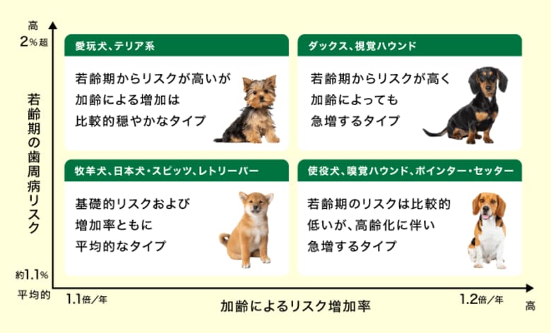 ペット保険データを用いた歯周病リスクに関する大規模研究成果が国際学術誌に掲載