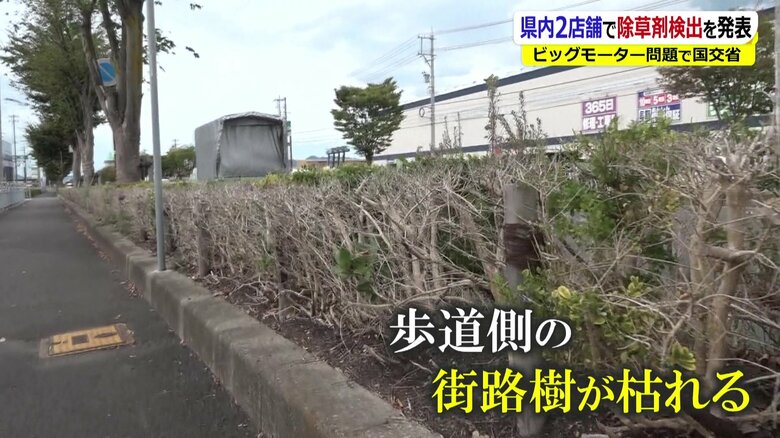 越前市内の店舗前