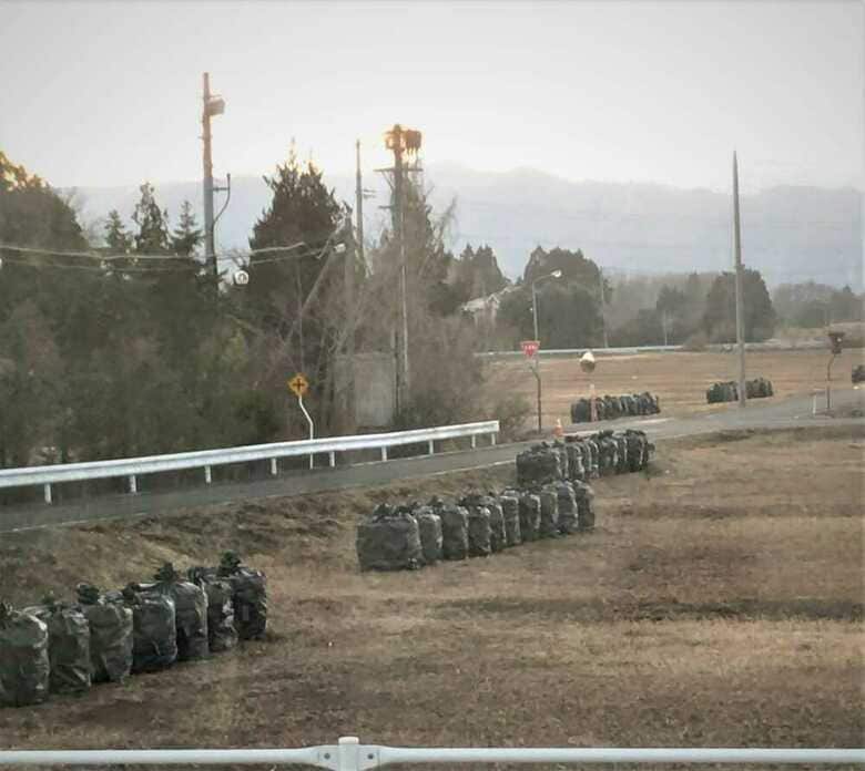 「黒い袋」が道路沿いに点々と…