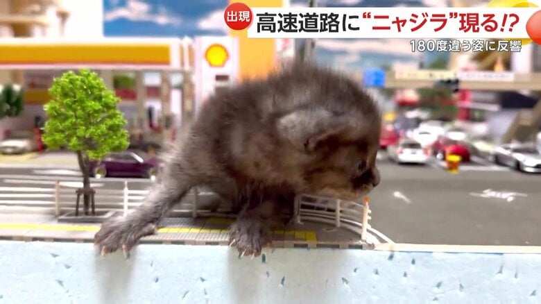 SNSで話題となっている普段のココアくんとは180度違うある動画