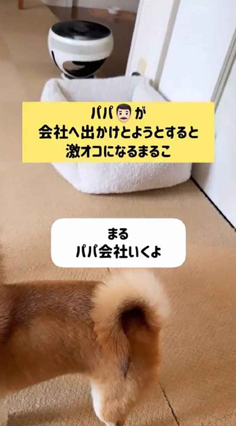会社へ出発するパパさん「まる、パパ会社いくよ」と声をかけると…