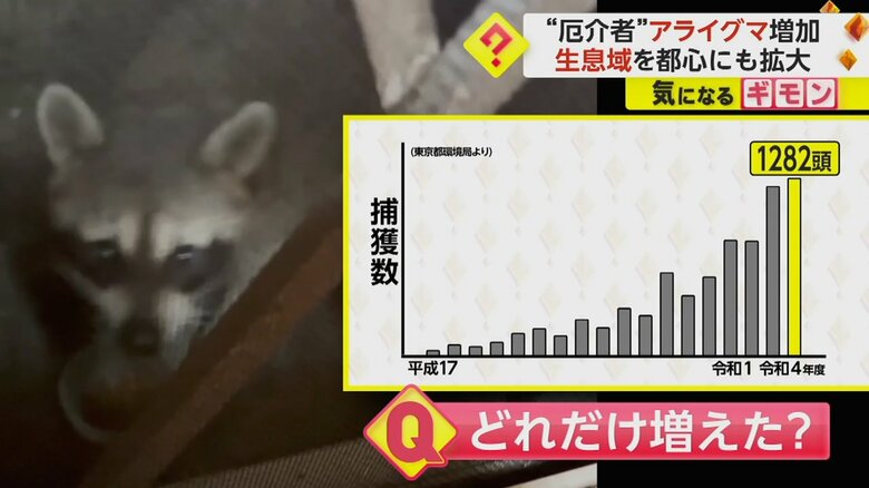 （FNN投稿サイト「ビデオPost」）