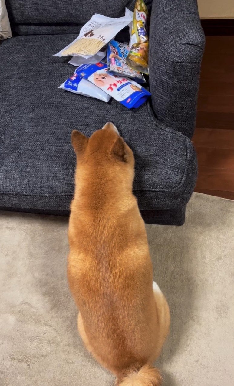 おやつを前に無言の圧力