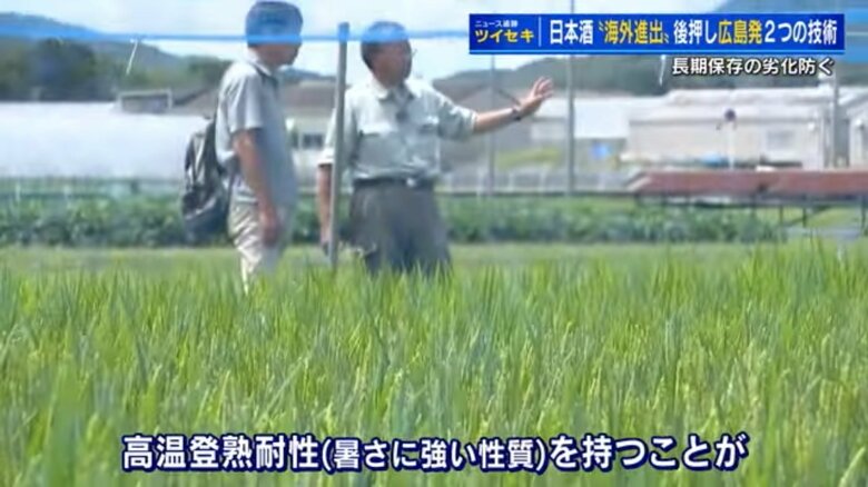 広島県農業技術センター　勝場善之助研究員（右）