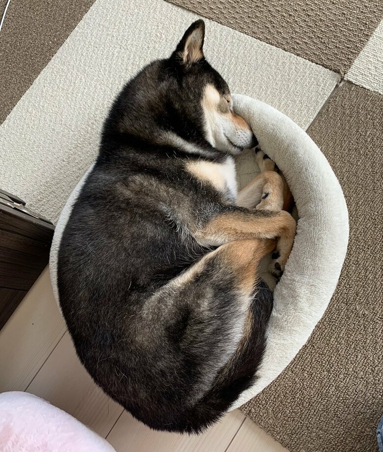 ミチミチしている