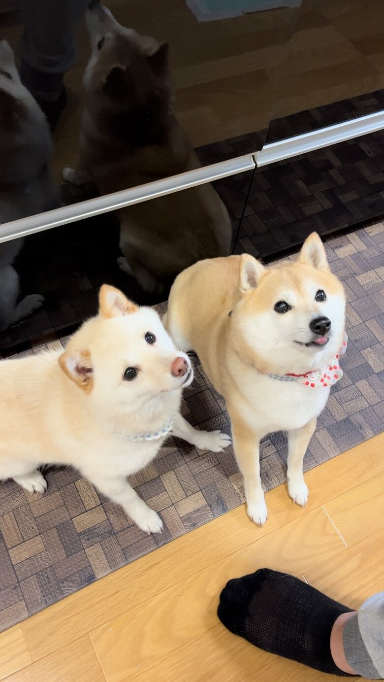 上目遣い