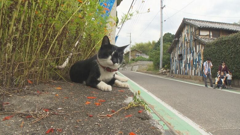 前回（2019年）の本島の様子