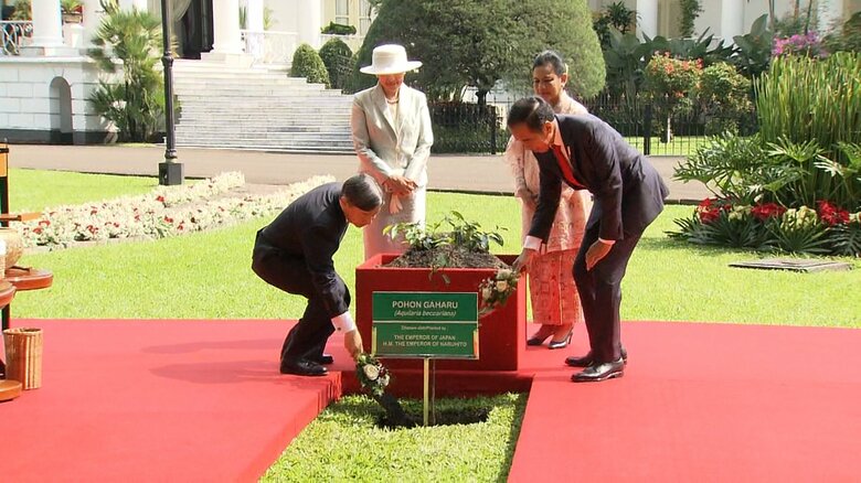 記念植樹をされる両陛下とジョコ大統領夫妻（ボゴール宮殿）