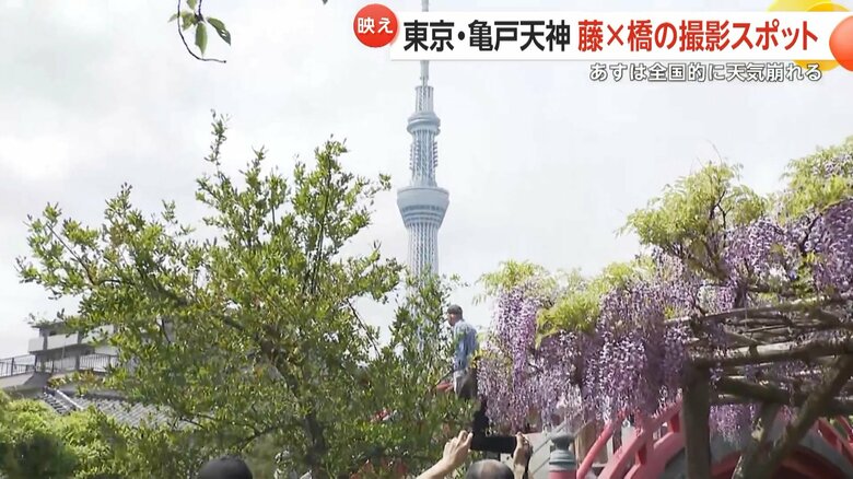 東京・江東区の亀戸天神社から見えるスカイツリー