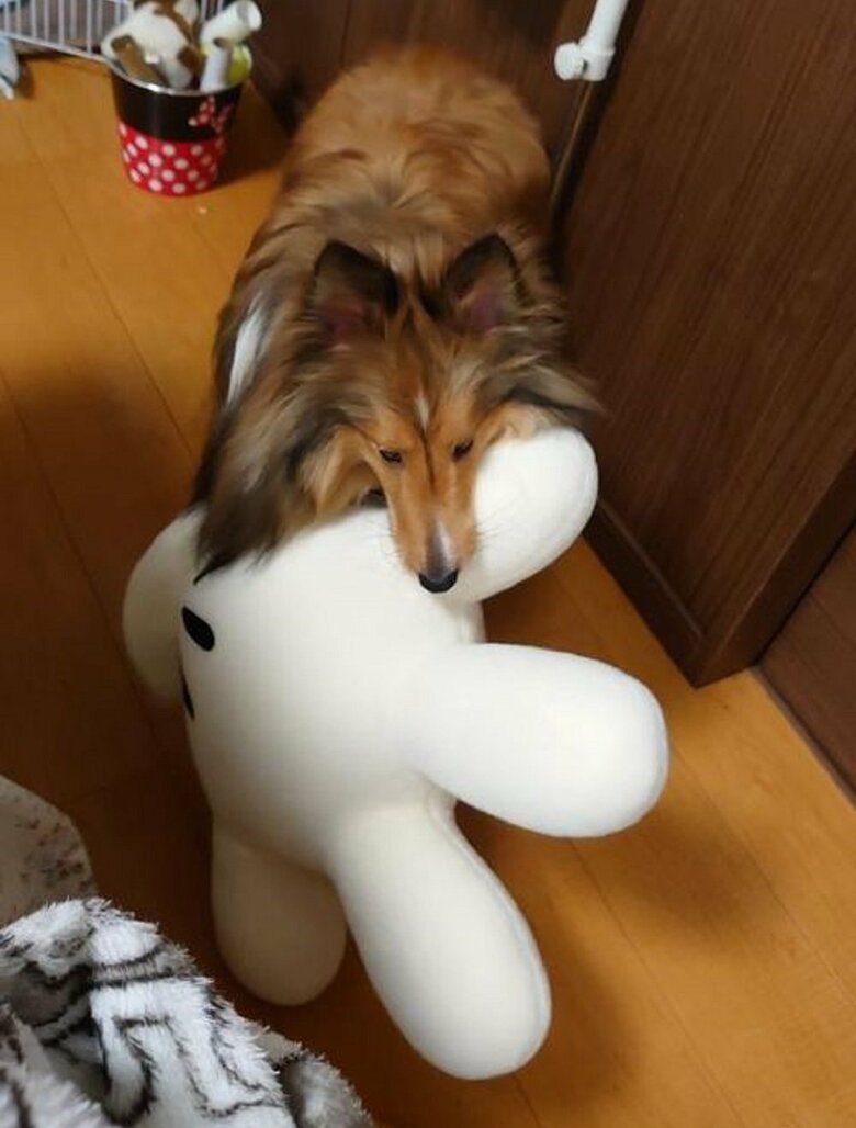 大きなぬいぐるみ