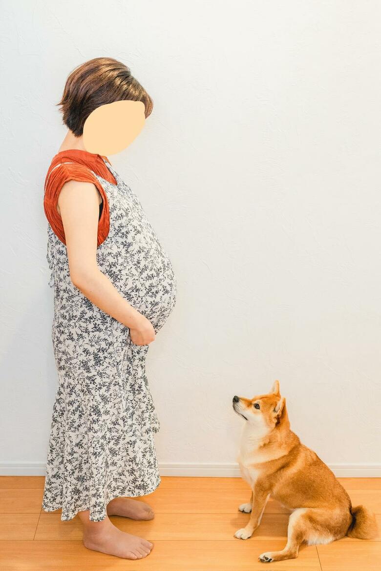 生まれる前から見守ってくれていた（提供：柴犬 むぎさん）
