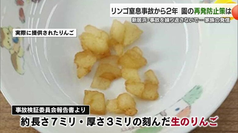 給食で康至君が食べたリンゴ（保育園提供）