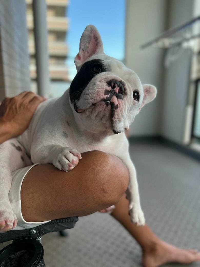 提供：こぶしさん