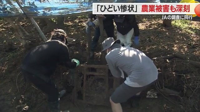 畑の片づけ作業を手伝う家族や知り合い