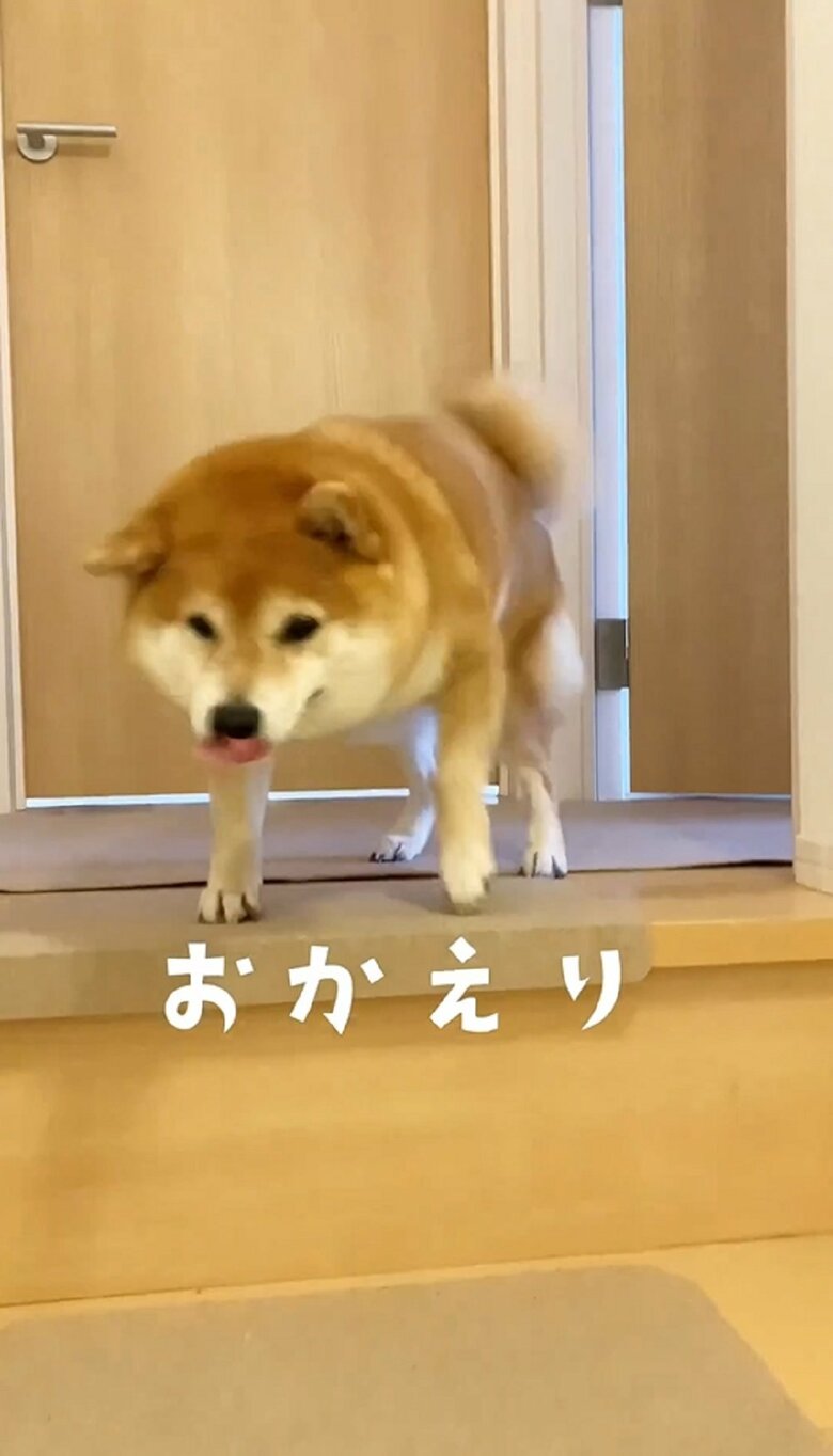 うれしそうに出迎えてくれる八朔くん
