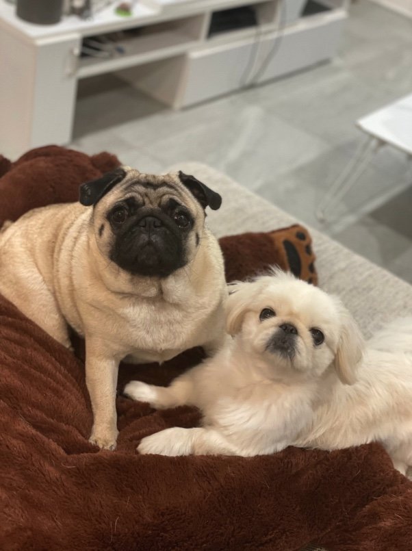 提供：よこむすびさん