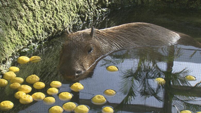 冬至に合わせ「ゆず湯」に