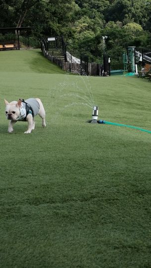 提供：むぎさん