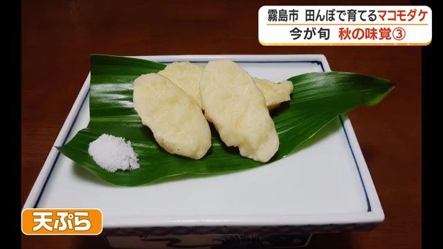 マコモダケの天ぷら