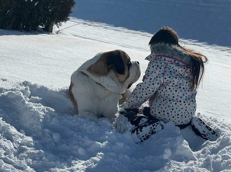 娘さんとダンテくん
