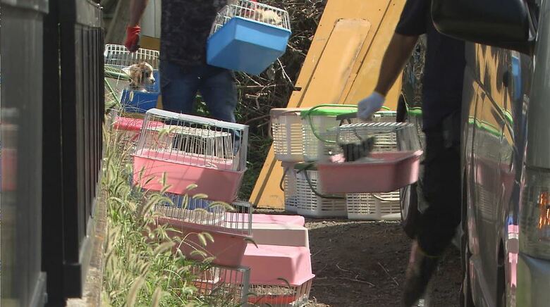 施設への家宅捜索（長野・松本市・2021年9月）※当該の犬ではありません