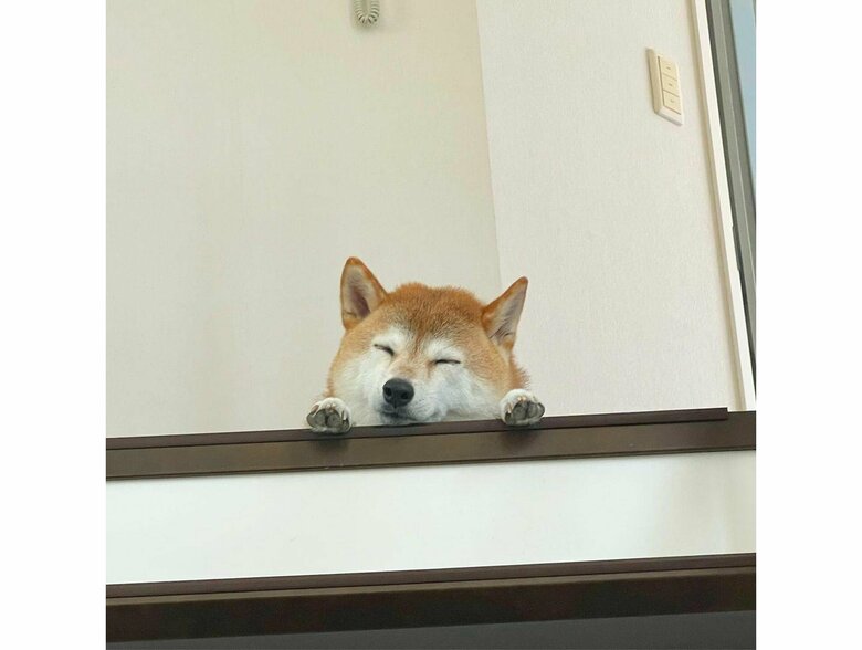 提供：橋本真実さん