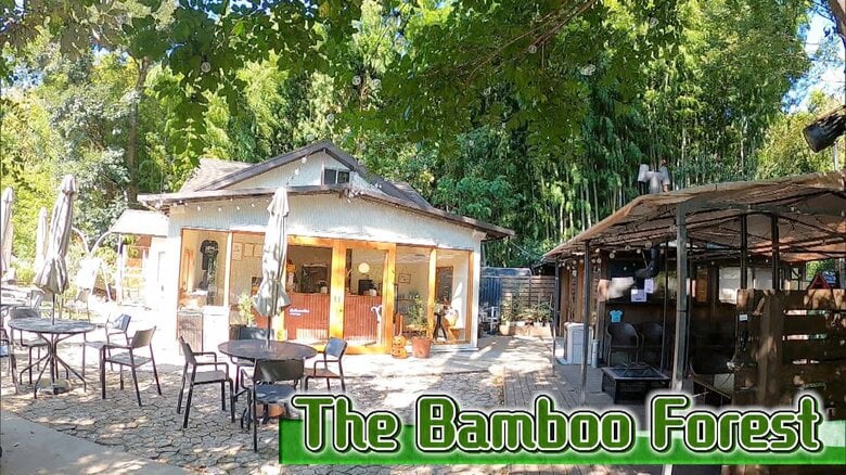 千葉・市原市「The Bamboo Forest」