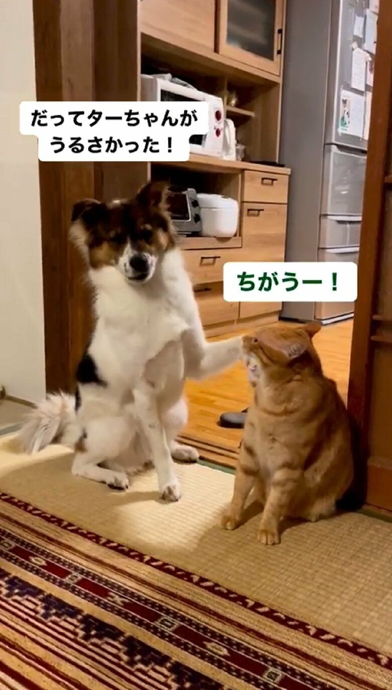 「だってターちゃんがうるさかった！」「ちがうー！」