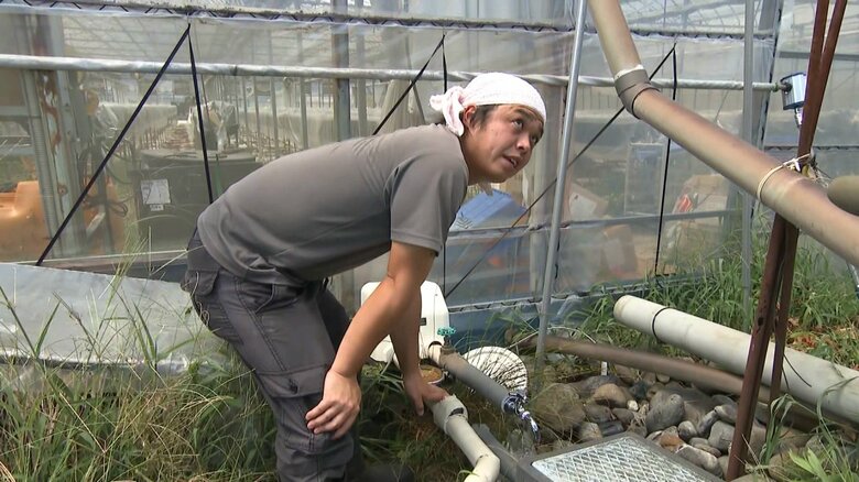 イチゴ農家・渡瀬豊さん