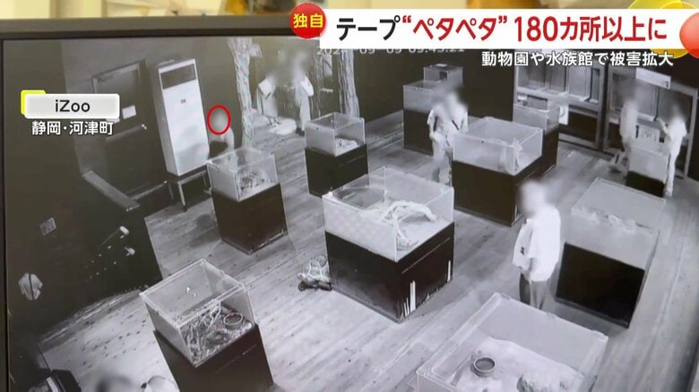 体感型動物園「iZoo」で起きた迷惑行為