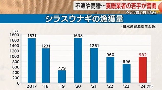 シラスウナギ漁獲量の推移