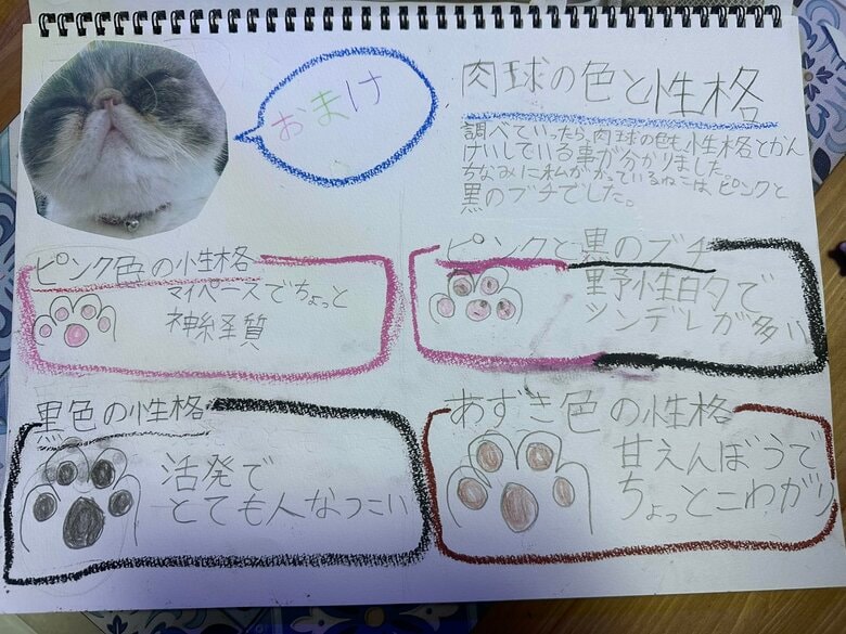 肉球の色と性格にも傾向が見られた