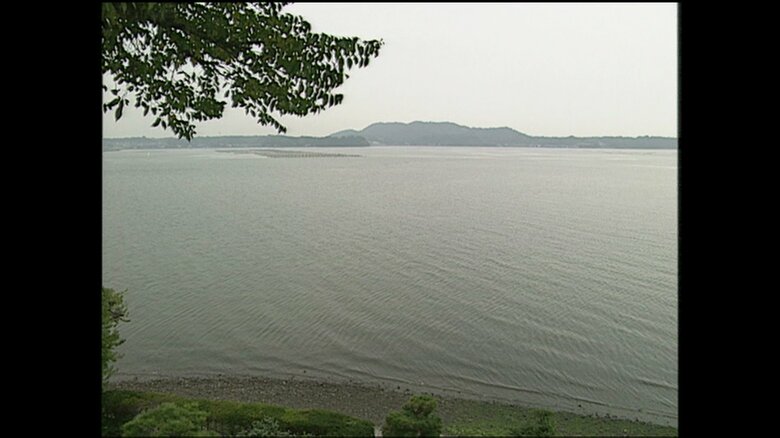 保養所の敷地から見える浜名湖の景観