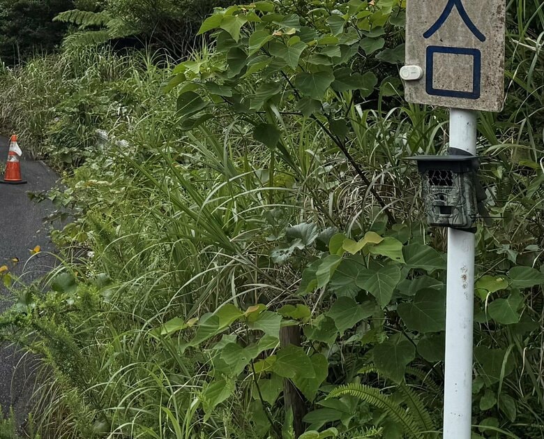 盗掘防止の為にモニターカメラが設置されている