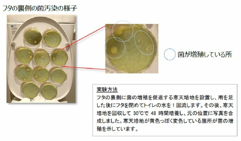 フタの裏側の菌汚染の様子（提供：ライオン株式会社）