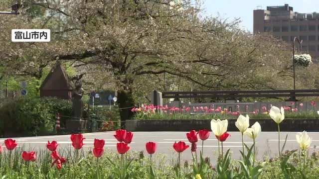 氷見市で最大瞬間風速18.1メートル　富山県内全域に強風注意報 11日の夜9時ごろまで注意を