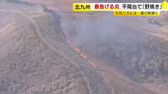 「春告げる炎」平尾台で野焼き　約３４０ヘクタール焼く　５月ごろには一面の新緑に　北九州市