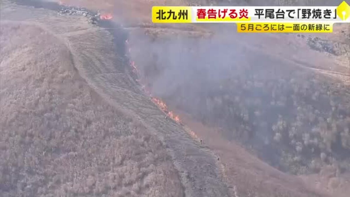 春告げる炎」平尾台で野焼き 約340ヘクタール焼く 5月ごろには一面の
