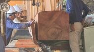 「御利益のある回向柱に」善光寺御開帳のシンボル　樹齢250年の杉を製材　長さ10ｍ、45ｃｍ角の正方形に　11月3日に住民向けにお披露目、2027年4月4日開幕