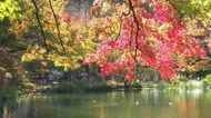 軽井沢・雲場池の紅葉「来て大正解」「癒される」　11月上旬まで楽しめそう　「台風」は27日頃にかけ、本州を横断する予想　雨が強まるタイミングは2回「24日昼前後」「25日夜～26日午前中」